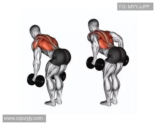 家庭健身必备哑铃背部训练指南男性专属有效塑造完美背部线条